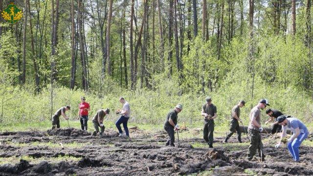 Капелани Гарнізонного храму з військовими висадили понад 6 тис. дерев у Рава-Руському лісгоспі