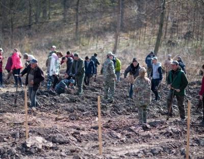  На Львівщині весняна лісокультурна кампанія на завершенні