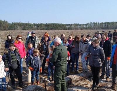 В рамках Акції «Майбутнє лісу у твоїх руках» встановлено рекорд України