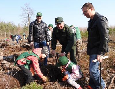 Заключні акорди весняної посадки лісу