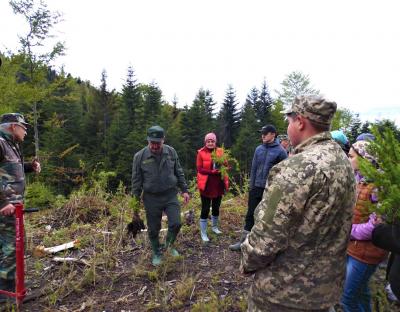 Карпати будуть зелені!