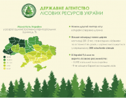 Державне агентство лісових ресурсів України: Кожен другий гектар лісу створено штучно