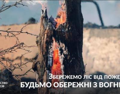 Держлісагентство: в лісах України проведено понад 25,6 тис. протипожежних профілактичних рейдів