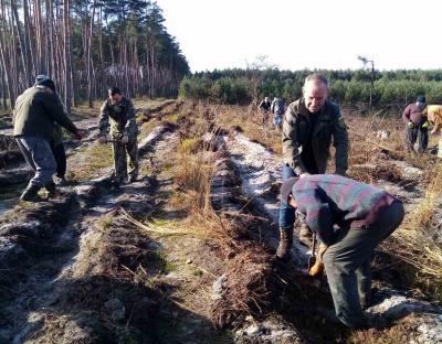 ДП "Рава-Руське лісове господарство": Звітуємо за 2020 рік. Коротко, цифрами, про головне
