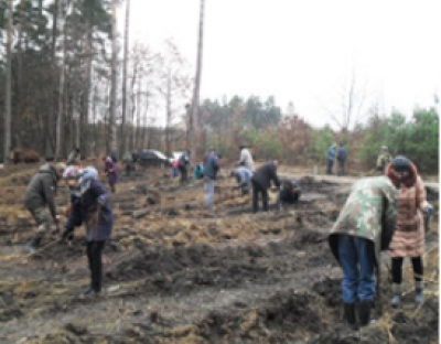 Залучення громадськості до весняної посадки лісових культур