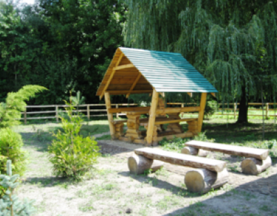 У Львівській ОДА розроблять карту розташування рекреаційних зон, призначених для відпочинку людей