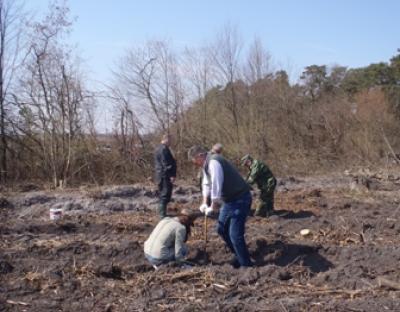 Ліси майбутнього