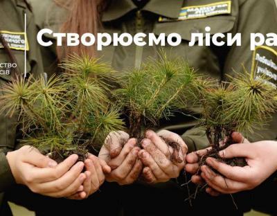 Лісівники України готові до проведення весняної лісокультурної кампанії