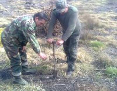 Посадка лісу в Крукеницькому та Мостиському лісництвах в рамках акції «Майбутнє лісу у твоїх руках»