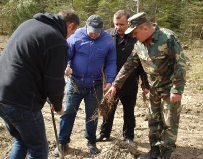 ДО АКЦІЇ «МАЙБУТНЄ ЛІСУ У ТВОЇХ РУКАХ» ДОЛУЧИЛАСЯ РАЙОННА ВЛАДА