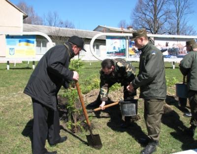 Лісівники Львівщини долучились до заходів весняної загальнообласної толоки