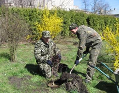 Заходи проведені в рамках місячника озеленення, прибирання та благоустрою і Дня довкілля