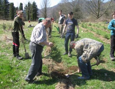 В Коростівському лісництві проведено закладку лісової школи