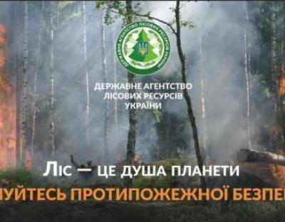 Збережемо ліс від вогню! 