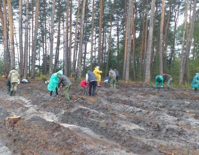  Підсумки діяльності ДП "Радехівське лісомисливське господарство" у 2020 році