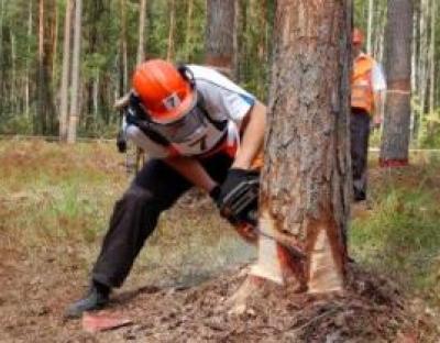 Вальник лісу ДП «Радехівське лісомисливське господарство» виборов третє місце на ХVІ Всеукраїнському чемпіонаті вальників лісу