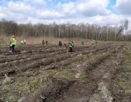 Створюємо ліси разом: на Львівщині висадили 120 га лісу