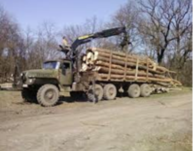 Інформація для споживачів  деревини (лісопродукції)