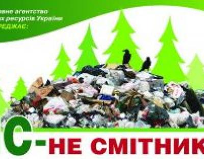 ВЕЛИКА ТОЛОКА У БРЮХОВИЦЬКОМУ ЛІСІ