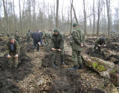 Нацгвардійці долучилися до створення нових лісів