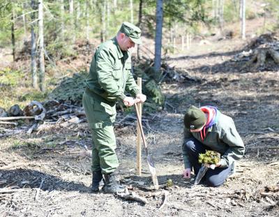 Представники громад та школярі взяли участь у відновленні лісів в ДП "Старосамбірське ЛМГ"