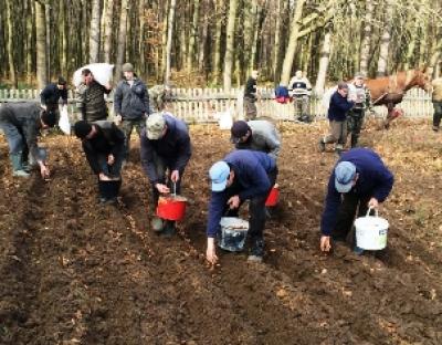 Осінь – важлива пора заготівлі лісового насіння