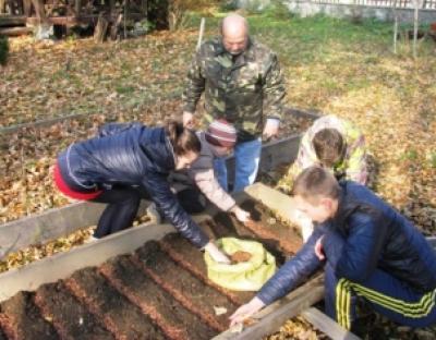 Плекаймо ліс і дбаймо про майбутнє