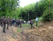 Ведення лісового господарства на засадах наближеного до природи лісівництва лісівниками Сколівського лісгоспу 