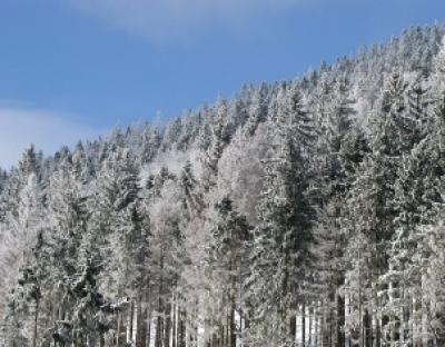 Відкритість та прозорість