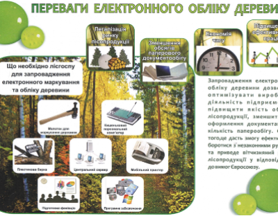 Електронний облік деревини в дії