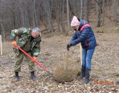Новим лісам бути