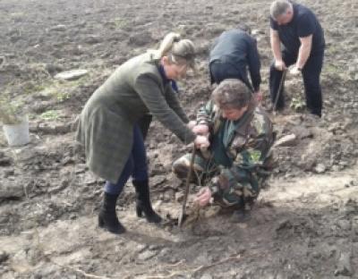 Залучення представників влади до весняних посадок лісових культур