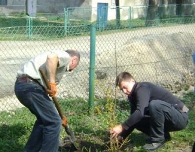 Перші підсумки акції «Майбутнє лісу у твоїх руках» на Львівщині