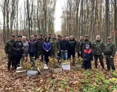 На Старосамбірщині триває осіннє садіння лісу