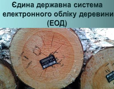 Обсяг заготівлі деревини в I-кв. 2019 року