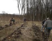 Хід весняної лісокультурної кампанії у ДП "Золочівське лісове господарство"