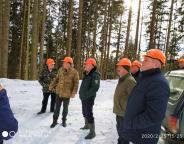 У ДП «Славське лісове господарство» проходить планова перевірка з охорони праці