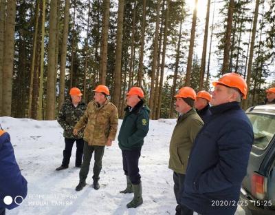 У ДП «Славське лісове господарство» проходить планова перевірка з охорони праці