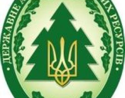 Єдиний електронний облік допоможе комплексно вирішити питання незаконних дій з деревиною, - Христина Юшкевич