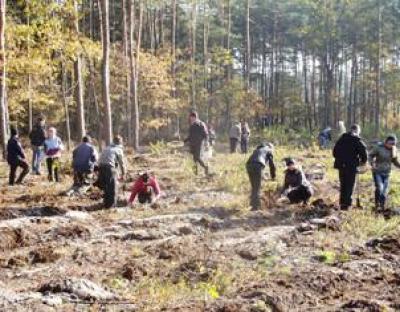 На Львівщині тривають осінні лісокультурні роботи