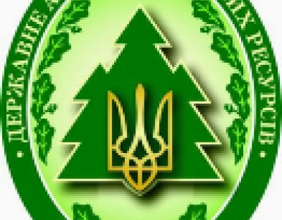 Держлісагентство перегляне та вдосконалить правила, які регулюють здійснення санітарно-оздоровчих заходів у лісах