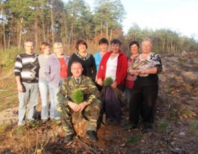 Осіння лісокультурна компанія закриває річний цикл роботи лісівників по проведенню лісокультурних робіт