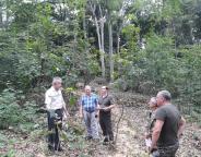 Законність проведення лісогосподарських заходів на території Винниківського лісництва