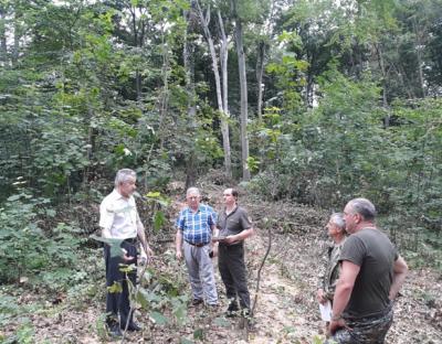 Законність проведення лісогосподарських заходів на території Винниківського лісництва
