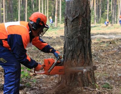 Відбувся черговий ХІХ Всеукраїнський конкурс - змагання вальників лісу