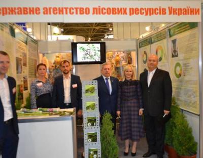 Одним з головних завдань є створення прозорого ринку деревини, - Христина Юшкевич
