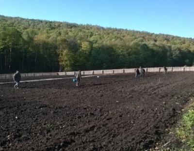 "Колиска" наших лісів