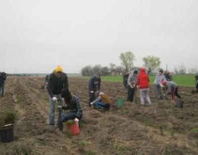 На Львівщині триває осіння лісокультурна компанія