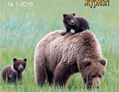 Прочитати, дізнатися, зрозуміти