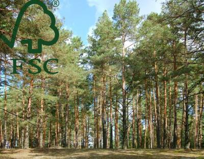 Лісогосподарські підприємства області сертифікувала Лісова опікунська рада